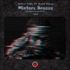 Winters Breeze (Remix Package PT 1)